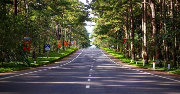 Quảng Ngãi đẩy mạnh xây dựng Măng Đen thành Khu du lịch quốc gia, thu hút đầu tư lớn
