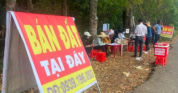 Chuyên gia nhận định thị trường bất động sản bước vào giai đoạn chọn lọc, tránh bán tháo