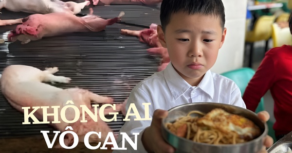 Gần 300 tấn thịt lợn bệnh vào bếp ăn trường học: Lỗ hổng an toàn thực phẩm đáng báo động