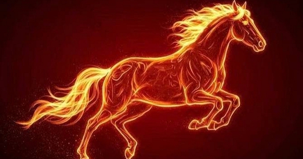 Tử vi tháng 3 Âm lịch: Tuổi Tý, Mão, Ngọ, Dậu khởi sắc về công việc và tài chính