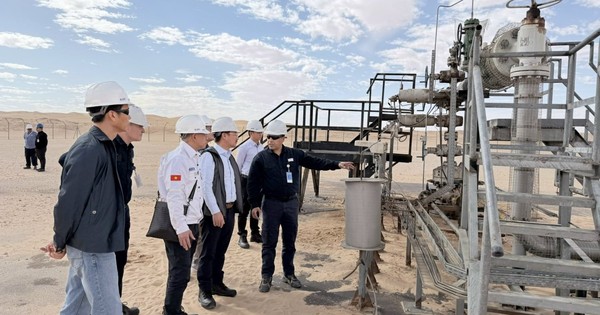 Algeria khởi động đấu thầu 7 lô dầu khí, PVEP của Việt Nam tham gia cạnh tranh