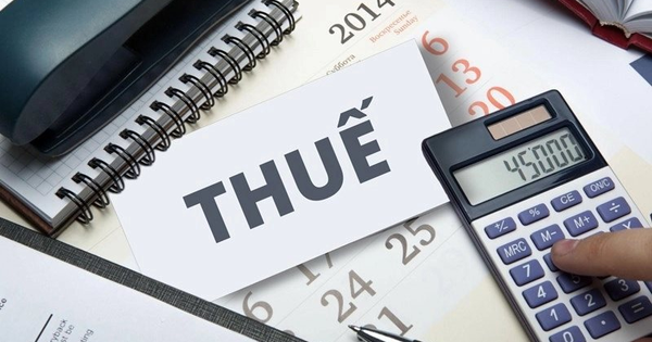 AI Hỗ Trợ Khai Thuế: Tiện Lợi Nhưng Tiềm Ẩn Rủi Ro Lớn Từ Sai Sót
