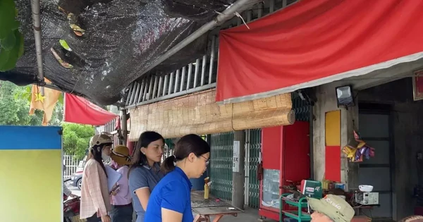 TPHCM: Chó Nghi Dại Cắn Nhiều Người, Chính Quyền Khẩn Trương Xác Minh Và Xử Lý