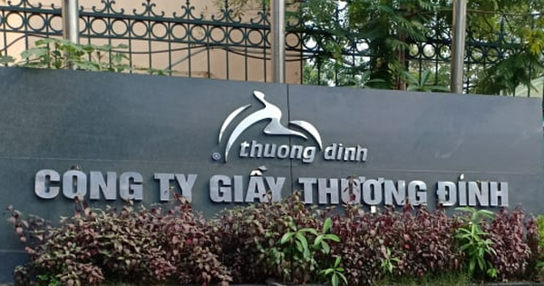 Vinaconex Mua 24% Cổ Phần Giầy Thượng Đình, Cơ Cấu Đầu Tư Biến Động