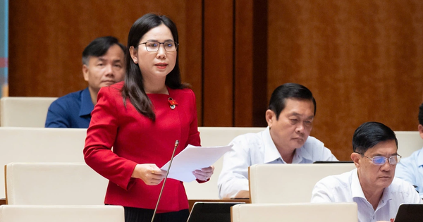 Đại Biểu Quốc Hội Cảnh Báo: Dân Số Già Hóa Nhanh, Mức Sinh Giảm Thấp Đe Dọa Phát Triển Bền Vững