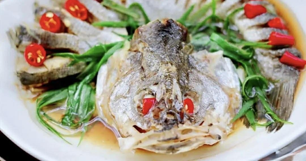 Cá vược: Loại cá giàu dinh dưỡng tốt ngang cá hồi, bổ não tăng cường trí thông minh