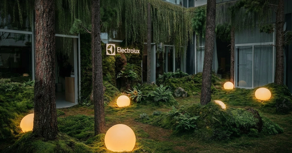 Xu hướng thiết kế nội thất 2026: Từ thông minh sang thấu cảm tại Milan Design Week