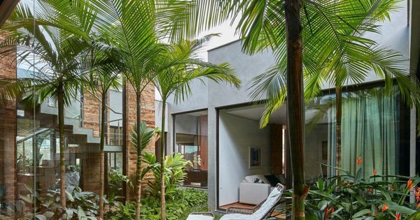 4 loại cây trồng trước nhà vừa đẹp vừa mang ý nghĩa phong thủy tốt
