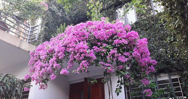 Phong thủy dưới góc nhìn khoa học: Giải mã những nguyên tắc vàng cho ngôi nhà