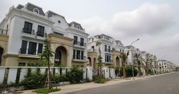 Phố đi bộ nghìn tỷ ở Bắc Giang vắng tanh, cỏ dại mọc um tùm