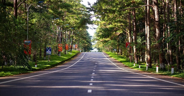 Quảng Ngãi chuyển đổi 82,88 ha rừng làm Khu đô thị số 1 tại Măng Đen