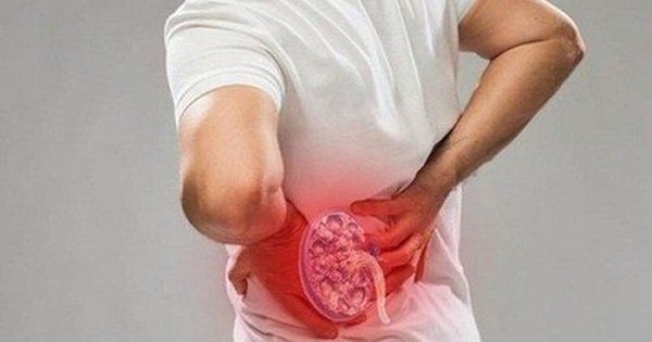 Thận: Cơ quan thầm lặng dễ bị tổn thương và những dấu hiệu cảnh báo sớm