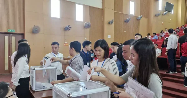 Đấu giá đất tại Quốc Oai: 17 thửa đất trúng với giá cao nhất 125 triệu/m2