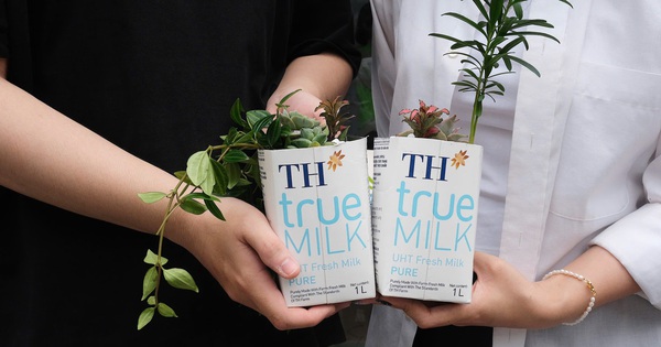 Tái chế vỏ hộp sữa thành chậu cây xinh xắn nhân Ngày Trái Đất