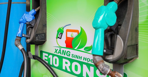 PVOIL và Petrolimex sẵn sàng triển khai xăng sinh học E10 trên toàn quốc