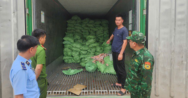 Hơn 1 tấn lòng lợn thối, 25,8 tấn thực phẩm đông lạnh không rõ nguồn gốc bị thu giữ