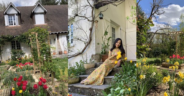 NSƯT Lê Vi: Từ đỉnh cao múa hát đến cuộc sống bình yên ở Pháp