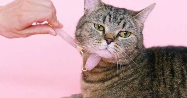 Trung Quốc: 'Cuộc cách mạng' công nghệ trong ngành kinh tế thú cưng