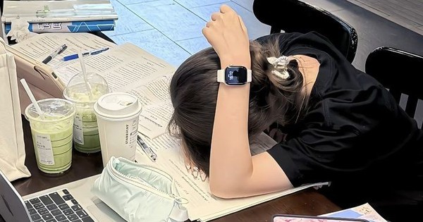 Bằng Thạc Sĩ, Tiến Sĩ: Lợi Thế Thực Sự Khi Nào? Dấu Hiệu Bạn Phù Hợp Với Cao Học