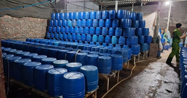 Lào Cai khởi tố vụ sản xuất giá đỗ chứa chất độc hại 6-BAP, thu giữ hơn 4 tấn