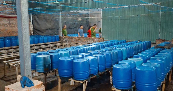 Lào Cai khởi tố đối tượng sản xuất hơn 500 tấn giá đỗ chứa chất độc hại 6-BAP