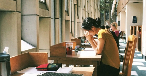 Đại Thanh Lọc Giáo Dục Đại Học: Ngành Công Cụ Thoái Trào, Nhường Chỗ Cho Tài Năng Phức Hợp
