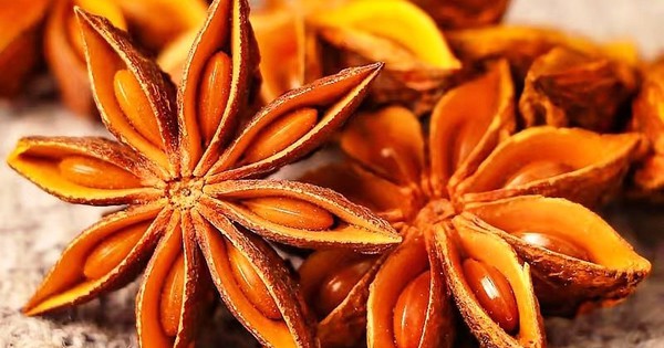Xuất khẩu hoa hồi Việt Nam tăng mạnh trong tháng 3/2026, Ấn Độ vẫn là thị trường chính