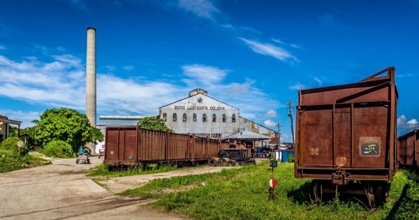 Cuba đề xuất kế hoạch vực dậy ngành công nghiệp mía đường từng là xương sống kinh tế