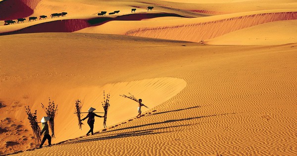 Mũi Né Lọt Top 10 Điểm Đến Xu Hướng Toàn Cầu 2026, Đánh Dấu Bước Tiến Du Lịch Việt