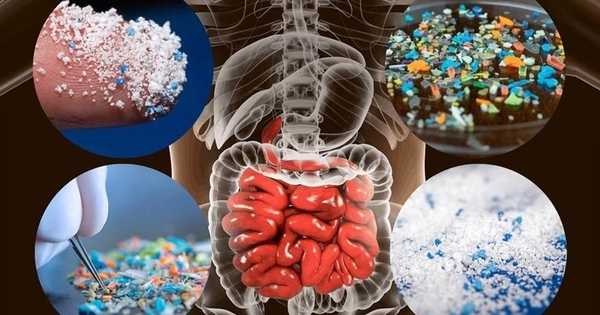 Cảnh báo: Hộp nhựa cũ có thể là nguồn phát tán vi nhựa và vi khuẩn nguy hiểm trong bếp