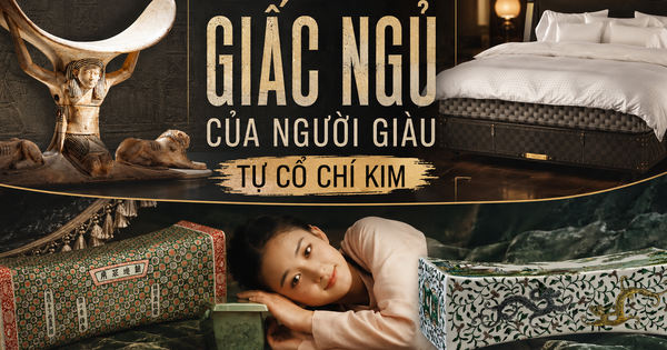 Giấc ngủ triệu đô: Từ lịch sử ngủ hai pha đến khoa học đằng sau chiếc đệm 16 tỷ