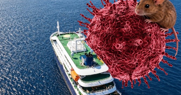 Khủng hoảng y tế trên du thuyền MV Hondius: Virus Hanta bùng phát và chiến dịch sơ tán quốc tế