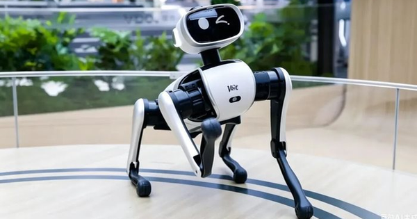 Chó robot Trung Quốc thu về gần 100 triệu NDT trong 20 ngày, xác lập kỷ lục mới