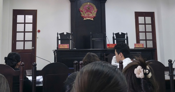 Vụ ly hôn nghìn tỉ: Người thứ ba giữ hộ bất động sản, tòa gợi ý tách vụ án