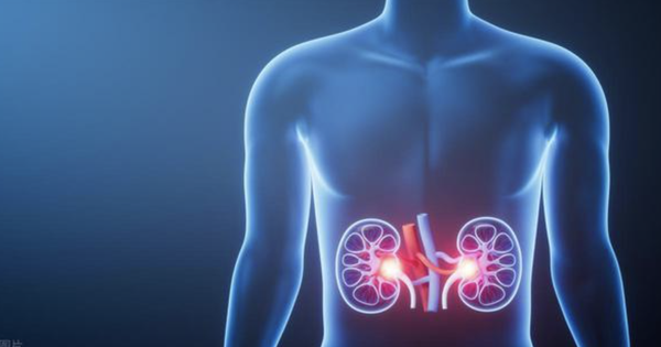 Thói quen buổi tối khiến axit uric tăng vọt, thận quá tải âm thầm