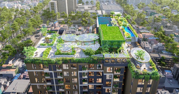 Chủ đầu tư Tân Thành kiến tạo Legacy 66 tại tọa độ song lộc giữa Chợ Lớn