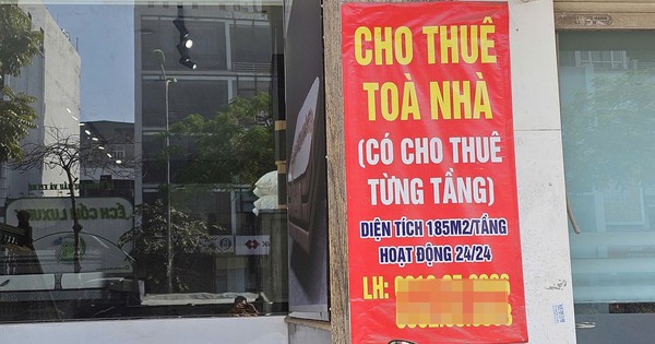Cục Thuế hướng dẫn chi tiết cách tính thuế cho thuê nhà doanh thu trên 1 tỷ
