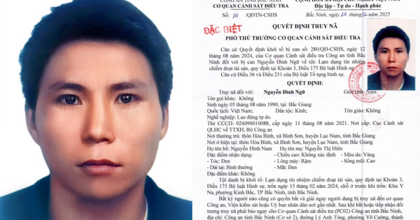 Bắc Ninh truy nã đặc biệt nguy hiểm đối tượng lạm dụng tín nhiệm chiếm đoạt tài sản