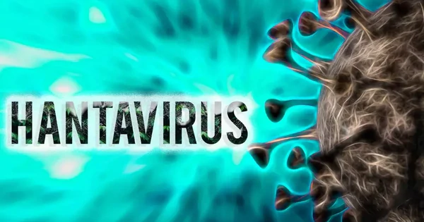 Virus Hanta gây 3 ca tử vong trên tàu du lịch, Bộ Y tế khuyến cáo khẩn