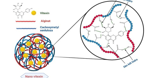 Công nghệ nano biến vỏ đỗ xanh thành 'thuốc' hỗ trợ tiểu đường