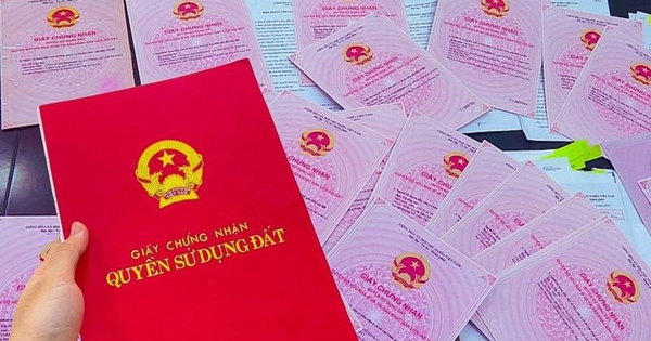 Quảng Trị: Khởi tố vụ lừa đảo chiếm đoạt tài sản liên quan thủ tục đất đai