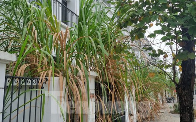 Khung cảnh hoang lạnh của hàng trăm biệt thự trên ‘đất vàng’ ở TP Hoà Bình