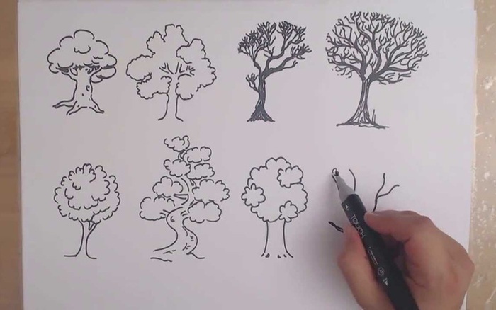 Đặt bút vẽ một chiếc cây - tác phẩm riêng, sáng tạo: Hãy tham gia thử thách vẽ một chiếc cây và tạo nên tác phẩm riêng của bạn với ảnh được thiết kế độc đáo và đầy sáng tạo.
