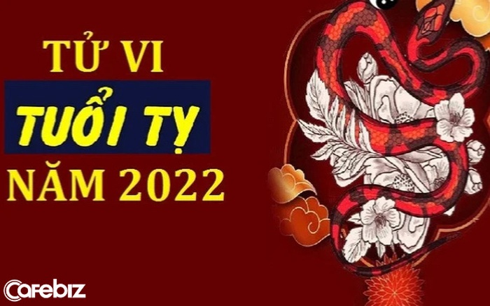 tuvi2022phongthuysovn- BÓI TỬ VI TUỔI ĐINH TỴ NĂM 2022 NAM MẠNG I. Tổng quan về tử vi tuổi Đinh Tỵ năm 2022 nam mạng - Vận mệnh tuổi Đinh Tỵ...