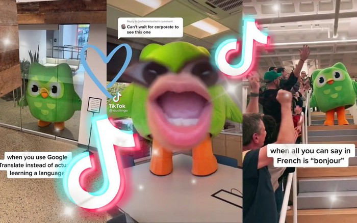 Từ startup thua lỗ suốt một thập kỷ, Duolingo lội ngược dòng biến biểu  tượng cú xanh trở thành "nỗi ám ảnh" của 500 triệu người dùng toàn cầu |  Advertising Vietnam