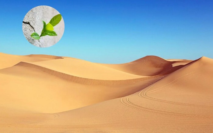 https://cafebiz.cafebizcdn.vn/zoom/700_438/162123310254002176/2026/2/3/avatar1770100370102-17701003708521195177776.jpeg